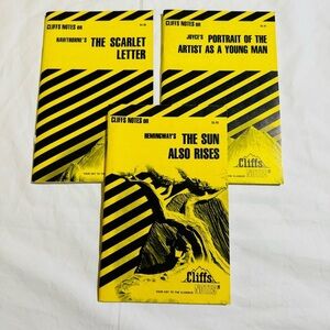 Cliffs Notes Set Of Three Books Hawthorne & Joyce / The Scarlet Letter & More